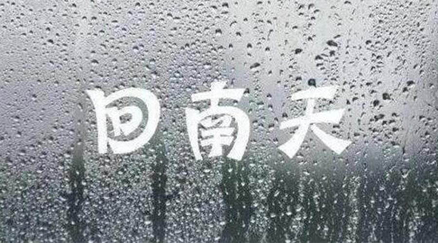 潮濕天來襲！家用衣物烘干機一招清除衣物上霉臭味