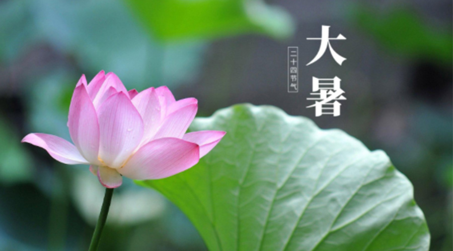 大暑時(shí)節(jié)！金環(huán)電器提醒大家注意這些干衣細(xì)節(jié)