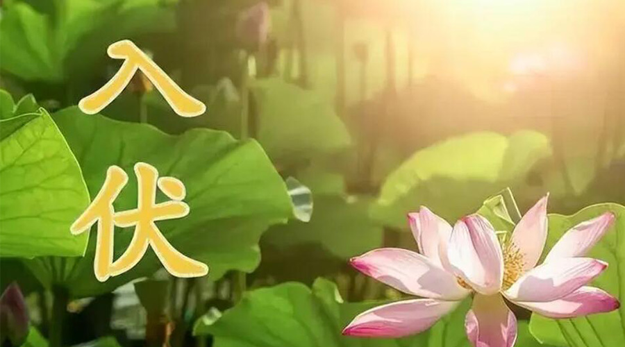 入伏天來襲！金環(huán)電器提醒大家要注意的事項(xiàng)