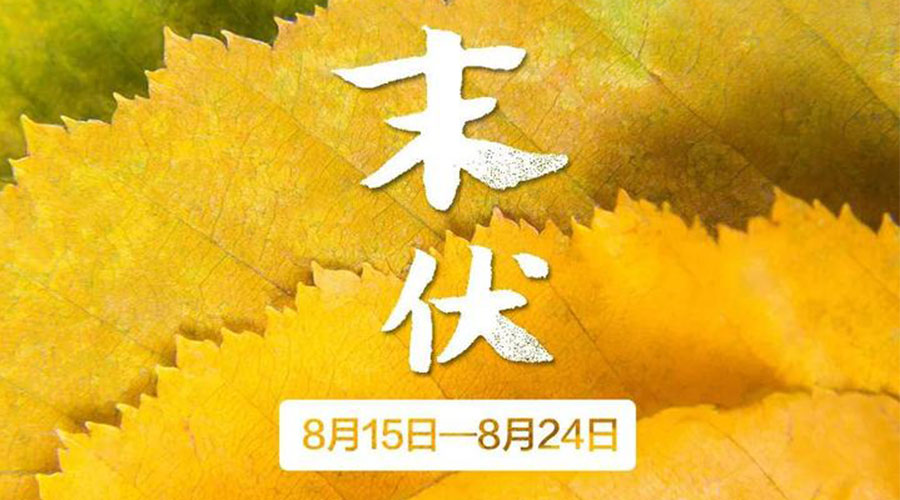 末伏時節(jié)！金環(huán)電器提醒你謹記這些注意事項