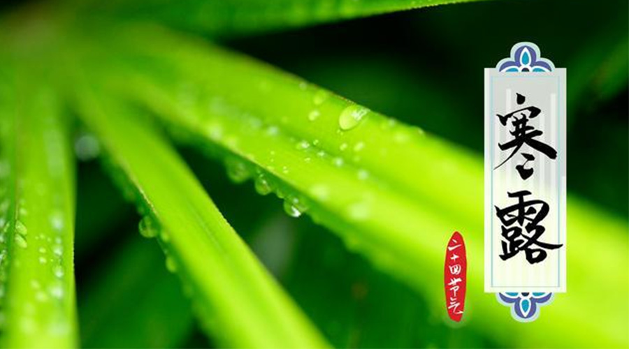 寒露時(shí)節(jié)到！金環(huán)電器提醒這些干衣事項(xiàng)要注意