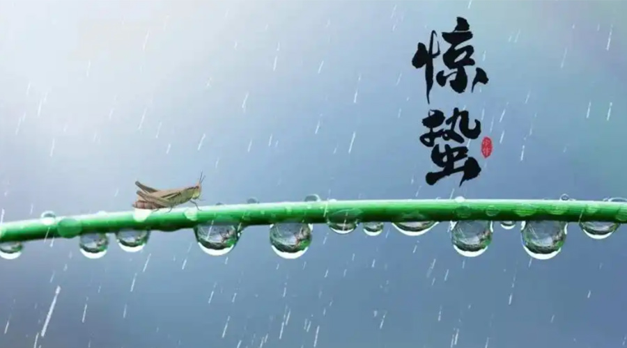 驚蟄時(shí)節(jié)！金環(huán)電器提醒大家干衣要注意這些