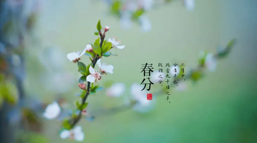 春分雨水多易生菌！金環(huán)電器提醒你衣物要注意處理