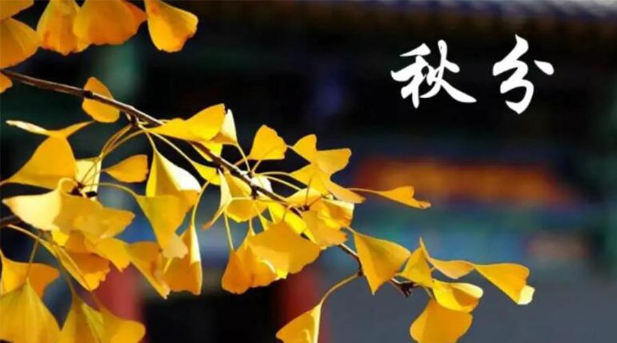 秋分時(shí)節(jié)！金環(huán)電器提醒大家要注意的事項(xiàng)